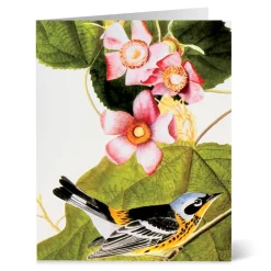 Online The Met Store Audubon Birds Notecards