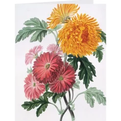 Best The Met Store Botanical Illustrations Notecards