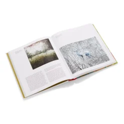 New The Met Store Gerhard Richter: Painting After All