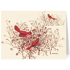 Best The Met Store Pucci: Bushes, Berries, and Birds Holiday Cards
