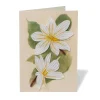 Best The Met Store Studies of Magnolias Quilled Card