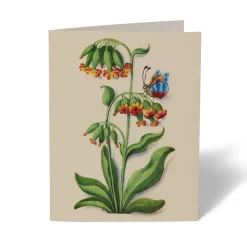 Sale The Met Store The Met Cloisters Garden Notecards