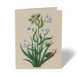 Sale The Met Store The Met Cloisters Garden Notecards