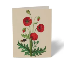 Sale The Met Store The Met Cloisters Garden Notecards