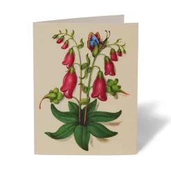 Sale The Met Store The Met Cloisters Garden Notecards