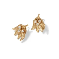 New The Met Store The Met Cloisters Garden Fava Bean Stud Earrings